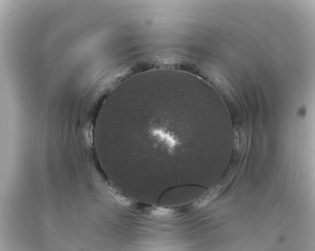 X0000094190718200711021028