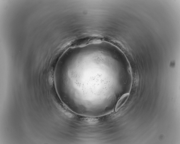 X0000094190719200711021028