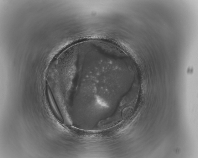 X0000094190721200711021027