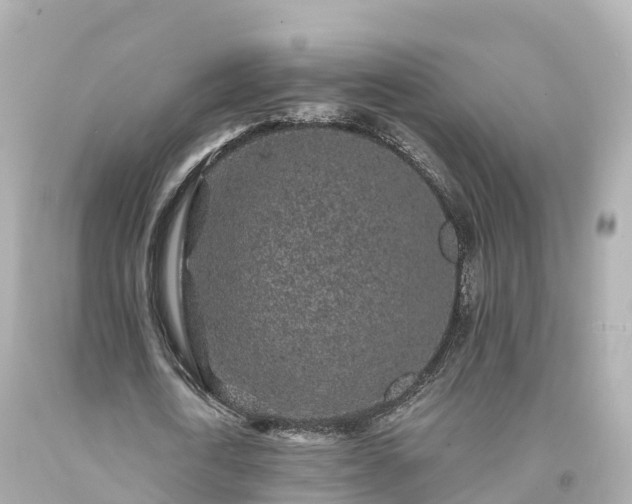 X0000094190722200711021027