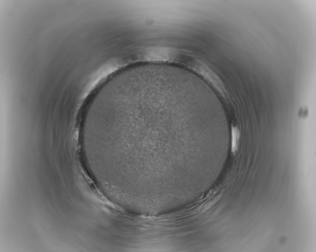 X0000094190723200711021027