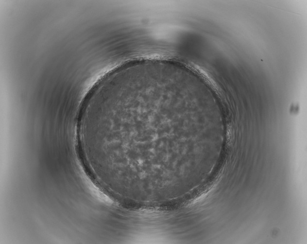 X0000094190725200711021027