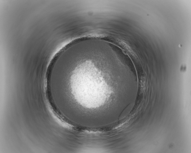 X0000094190726200711021027