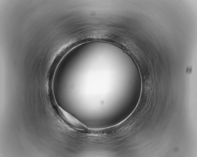 X0000094190727200711021027