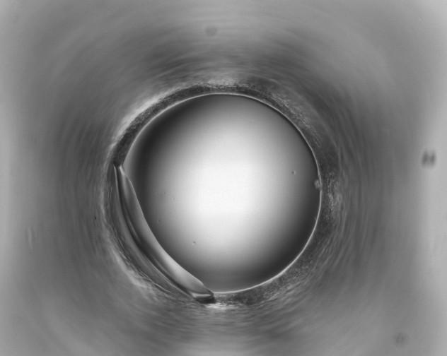 X0000094190728200711021027