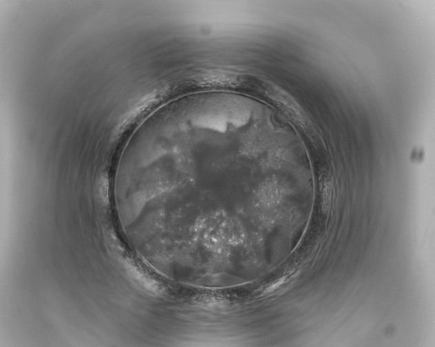 X0000094190729200711021027