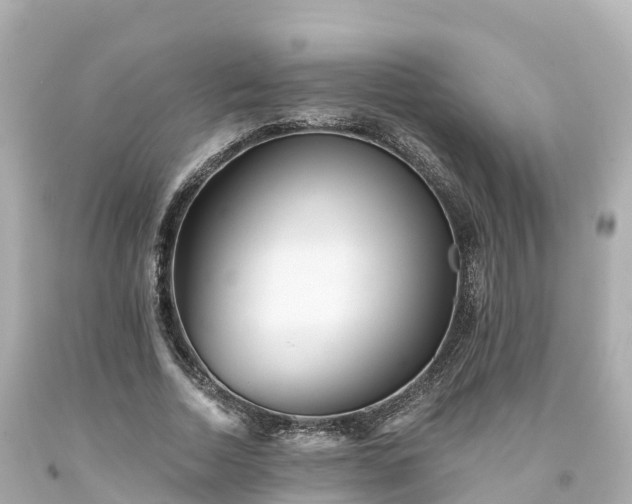 X0000094190730200711021027