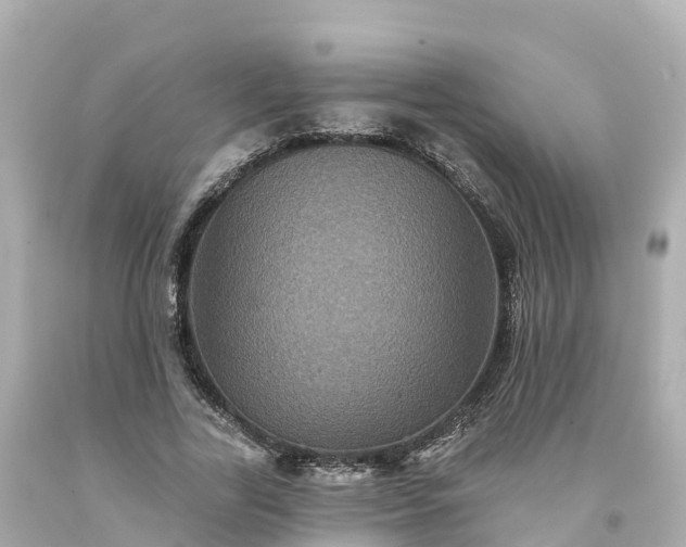 X0000094190731200711021027