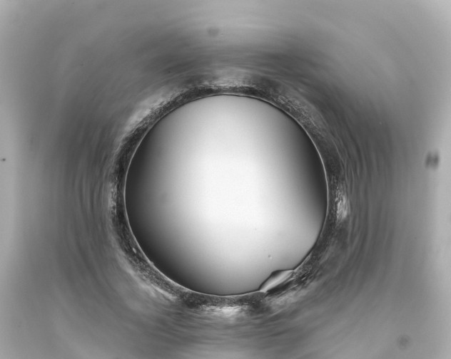 X0000094190732200711021027