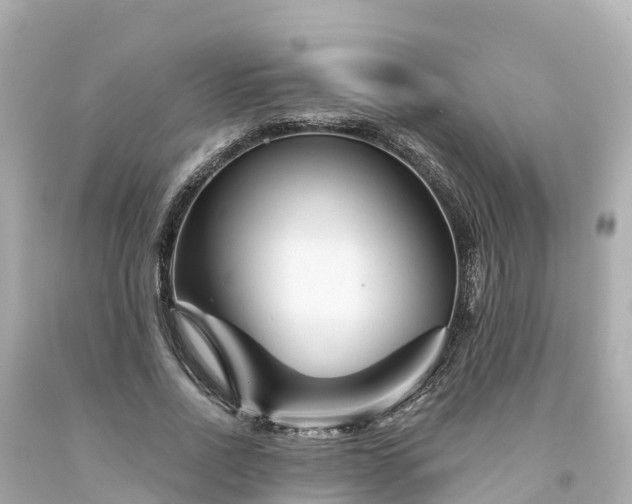 X0000094190734200711021027