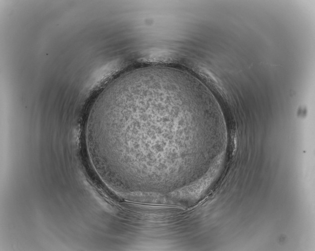 X0000094190735200711021027