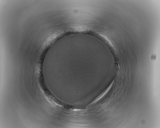 X0000094190736200711021027