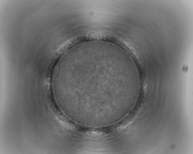 X0000094190737200711021027