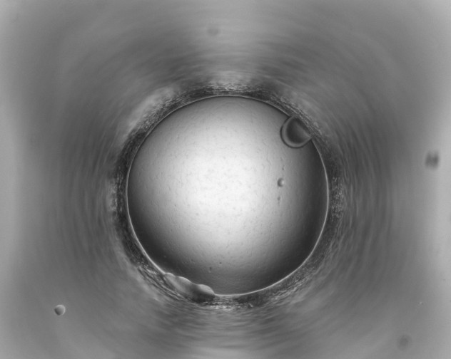 X0000094190738200711021027