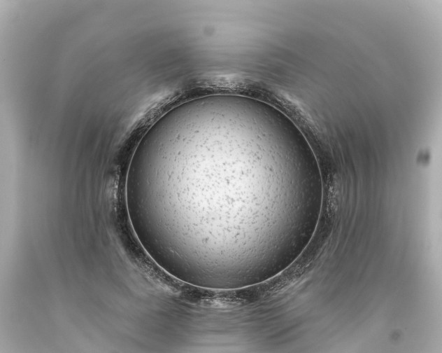 X0000094190739200711021027