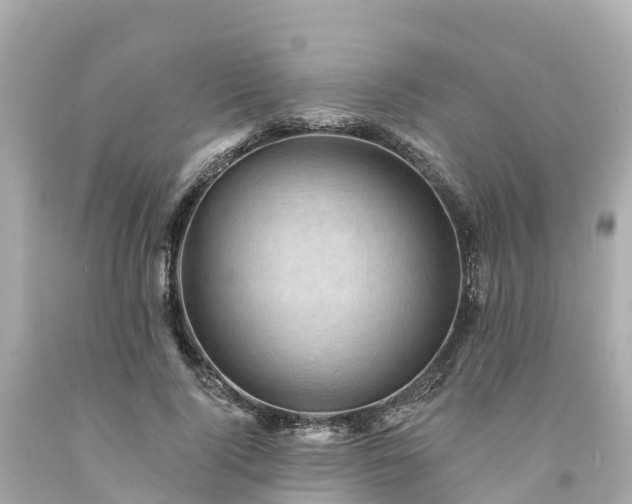 X0000094190740200711021027