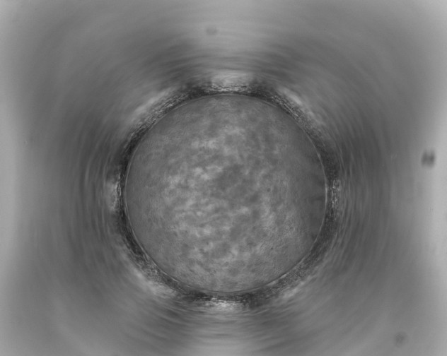 X0000094190741200711021027