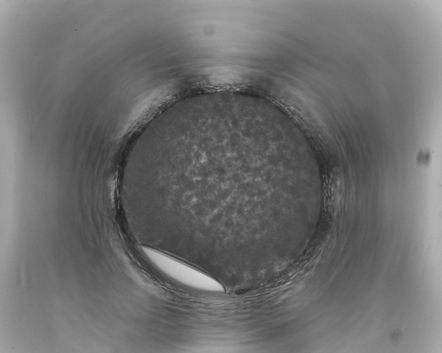 X0000094190742200711021027