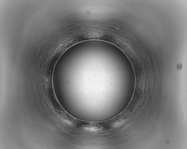 X0000094190743200711021027