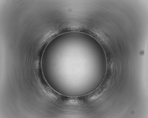 X0000094190744200711021027