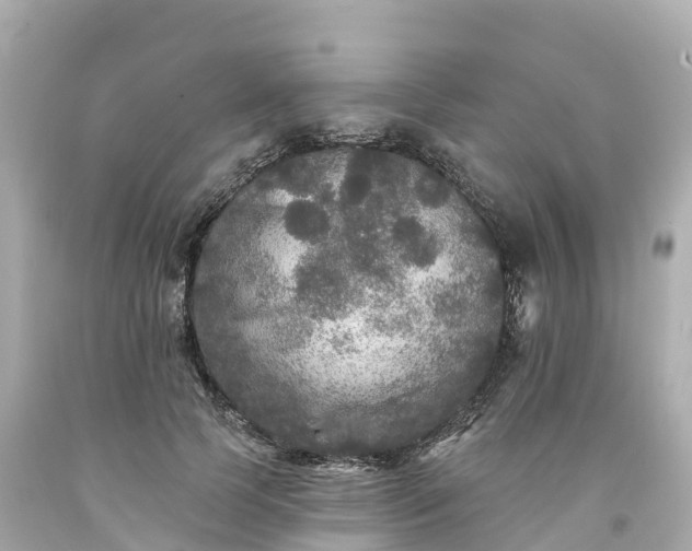 X0000094190745200711021027