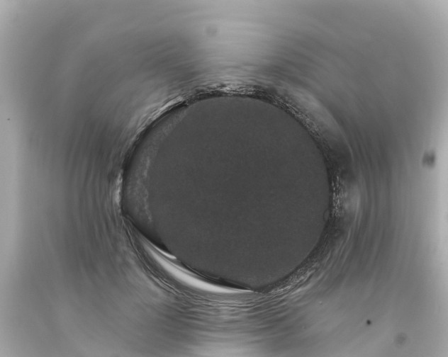 X0000094190748200711021028