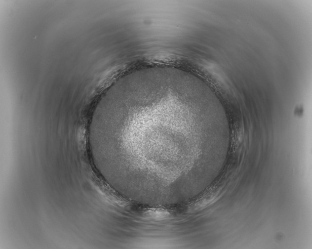 X0000094190749200711021028