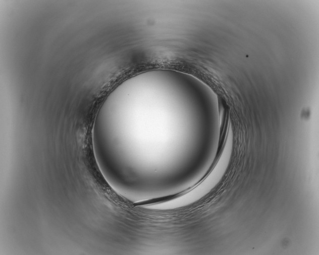 X0000094190750200711021028