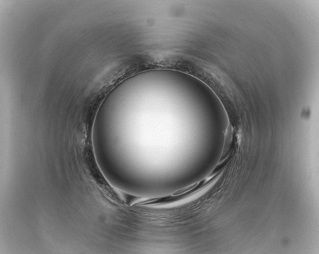 X0000094190752200711021028