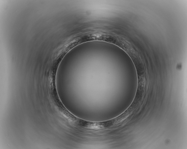 X0000094190754200711021028