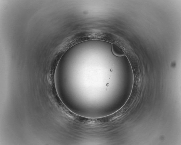 X0000094190755200711021028