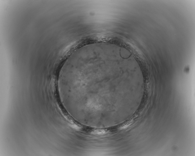 X0000094190757200711021028