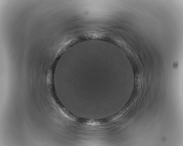 X0000094190760200711021028