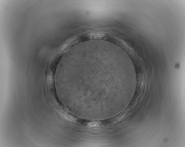 X0000094190761200711021028