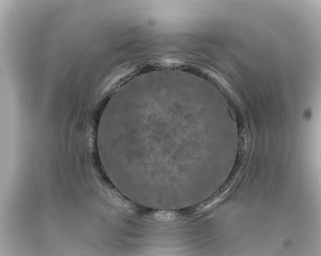 X0000094190762200711021028