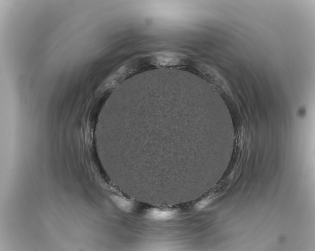 X0000094190763200711021028