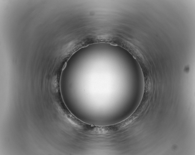 X0000094190764200711021028