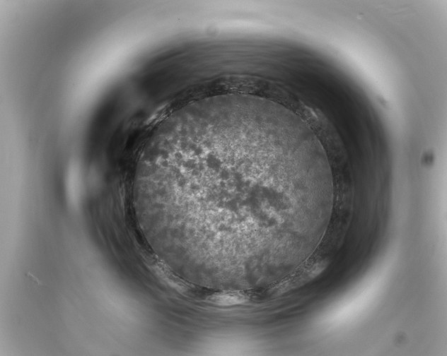 X0000094190765200711021028