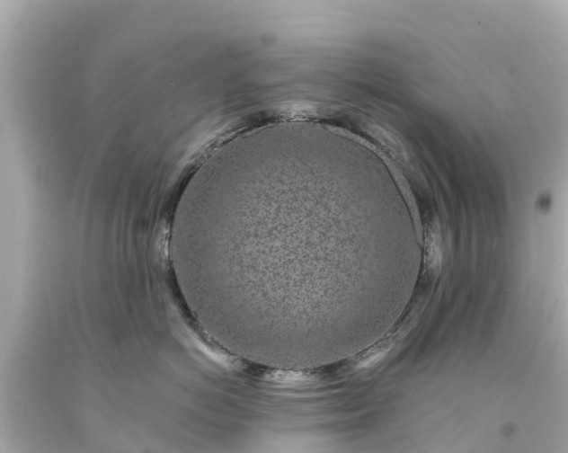 X0000094190766200711021028