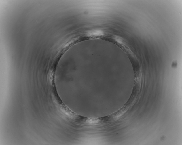 X0000094190767200711021028