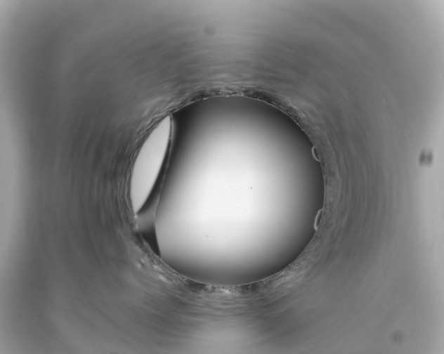 X0000094190768200711021028