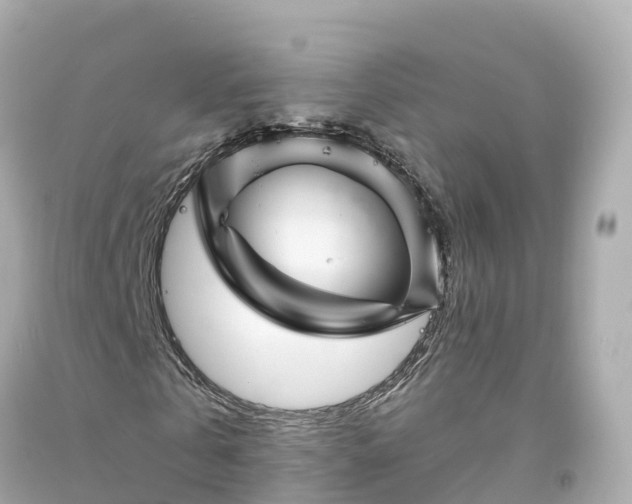 X0000094190769200711021027