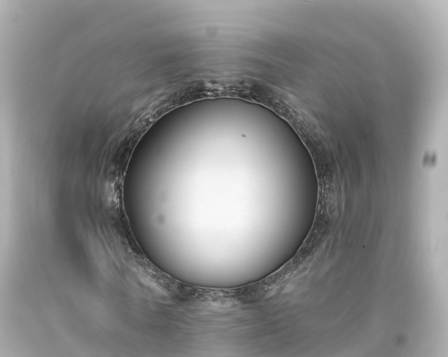 X0000094190770200711021027