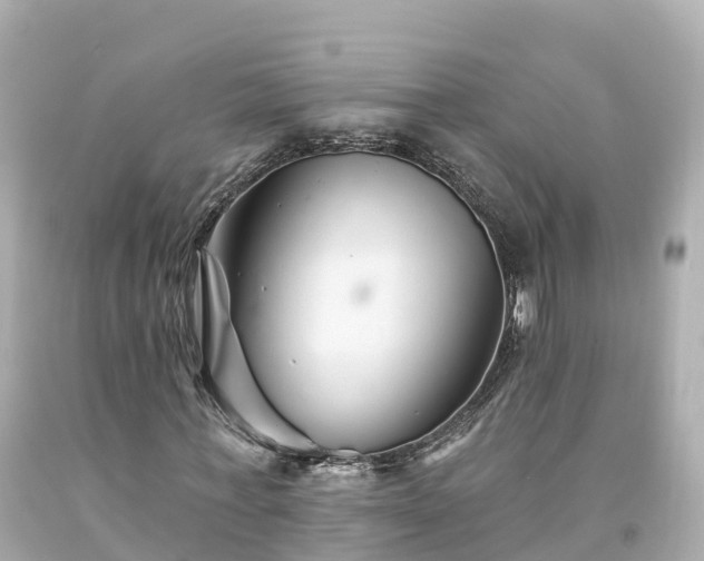 X0000094190771200711021027