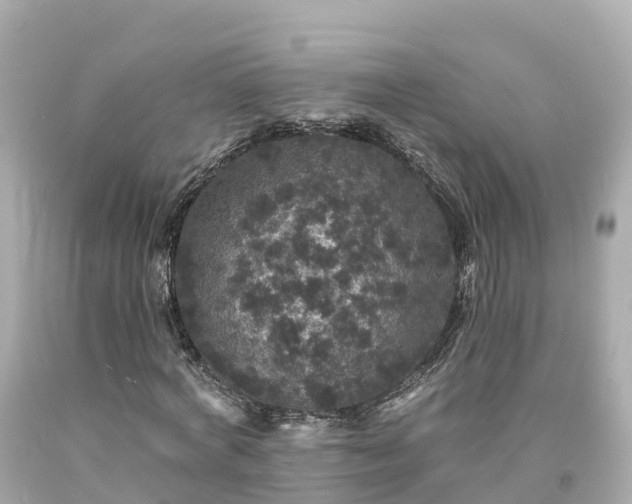 X0000094190772200711021027