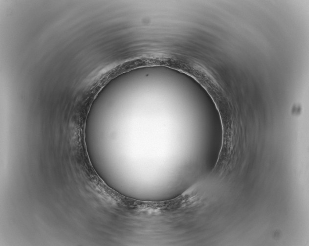 X0000094190773200711021027