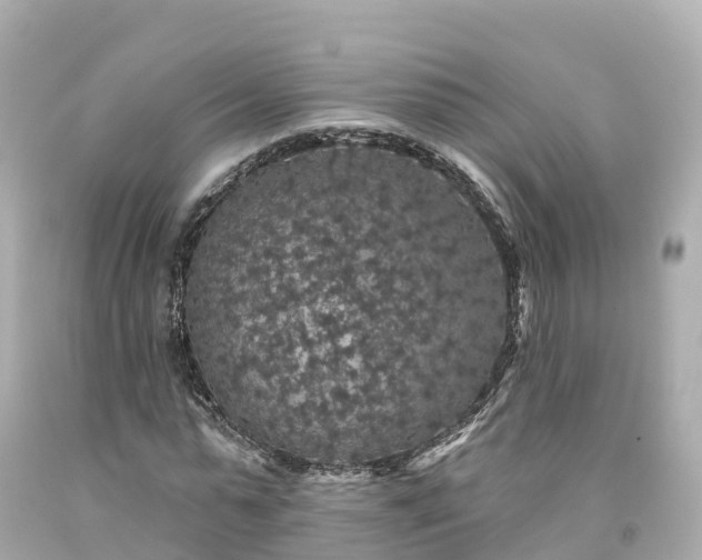 X0000094190775200711021027