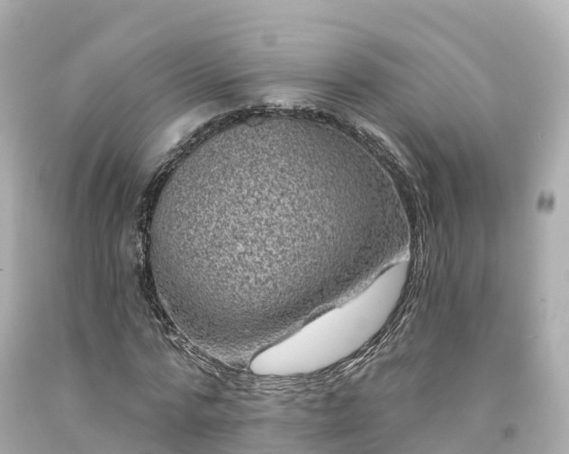 X0000094190776200711021027