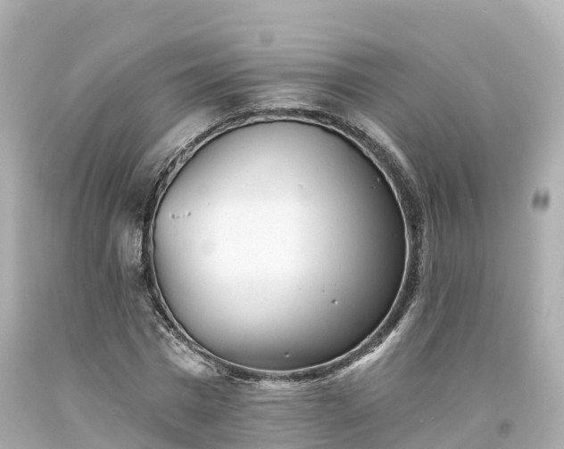 X0000094190777200711021027