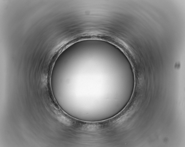 X0000094190778200711021027